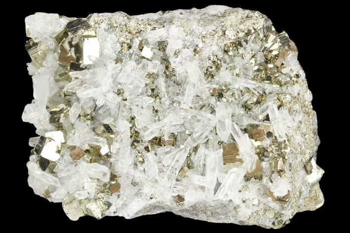 Gleaming Cubic Pyrite & Quartz Crystal Association - Peru #126611